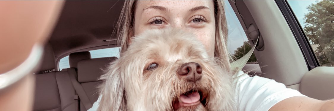 emilyyygall's profile banner image