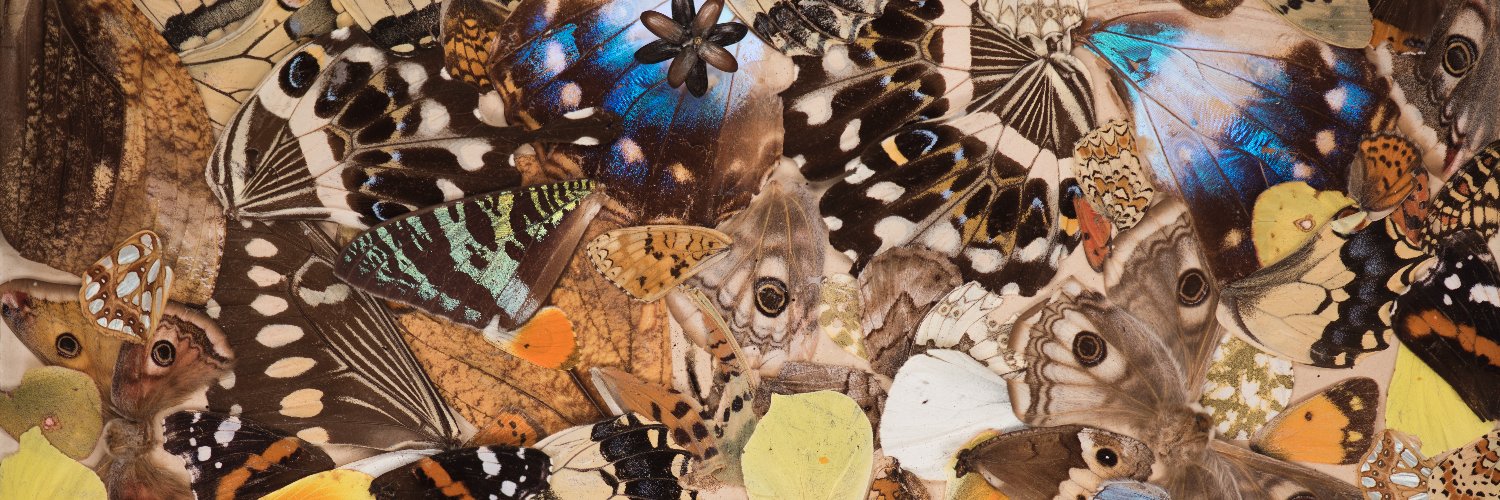 Adrián Sánchez Albert banner