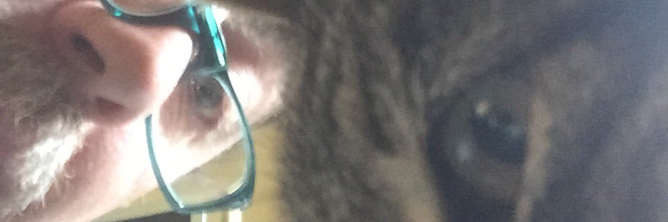 eWallon's profile banner image