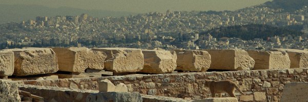 Marcel_neko Profile Banner