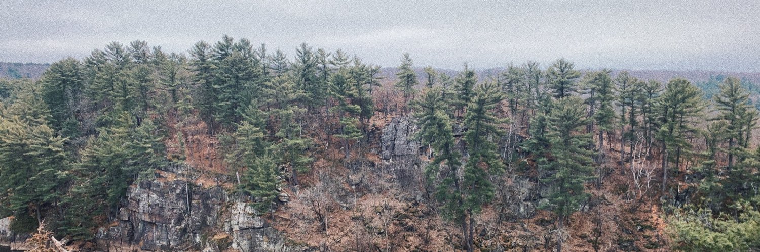 Abby Jacobson banner