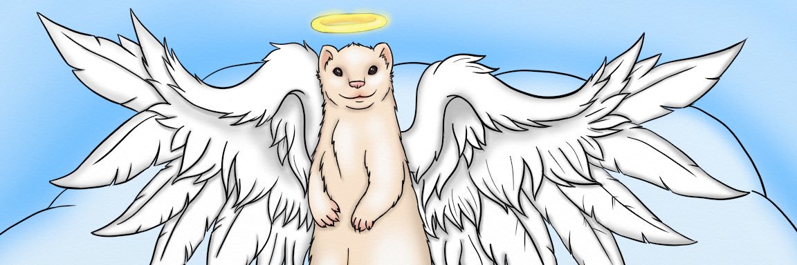 runetail009's profile banner image