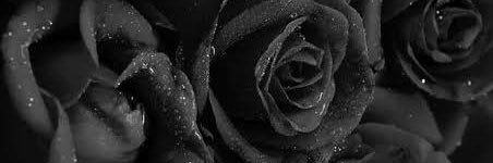 yu__zu__20's profile banner image