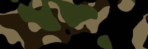apsryan's profile banner image