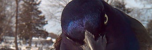 billybadlock's profile banner image