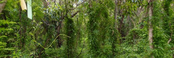 society_weed Profile Banner