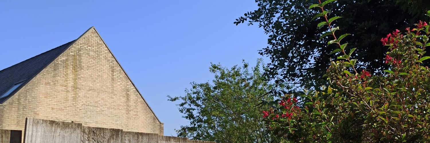 luciaacben's profile banner image