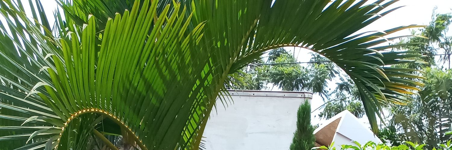 semofrank's profile banner image