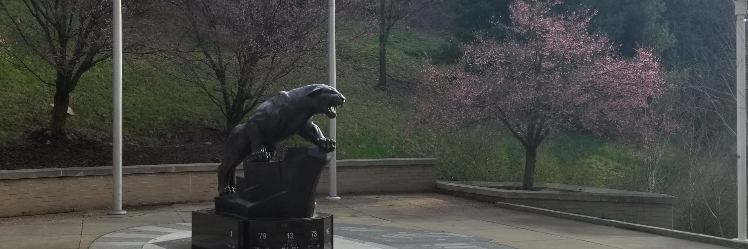 Anthony Delitto banner