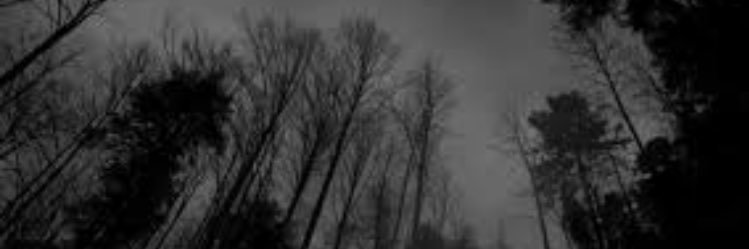 joonasmanzo's profile banner image