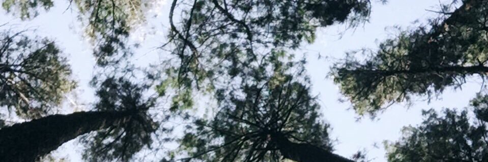 Indri_INH's profile banner image