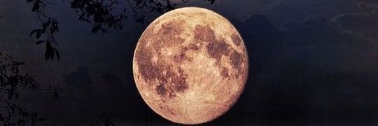 UMME_AIMAN_'s profile banner image