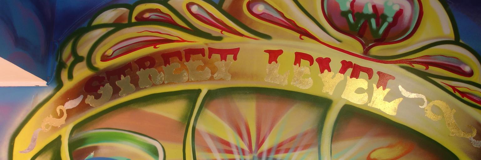 Street Level Carluke banner