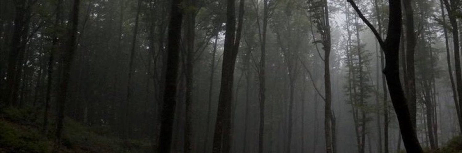 ≠ banner
