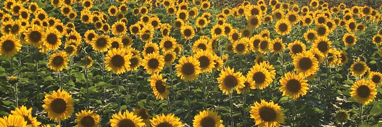 peppo_y's profile banner image