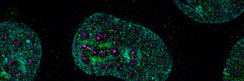 Eilers Lab's banner