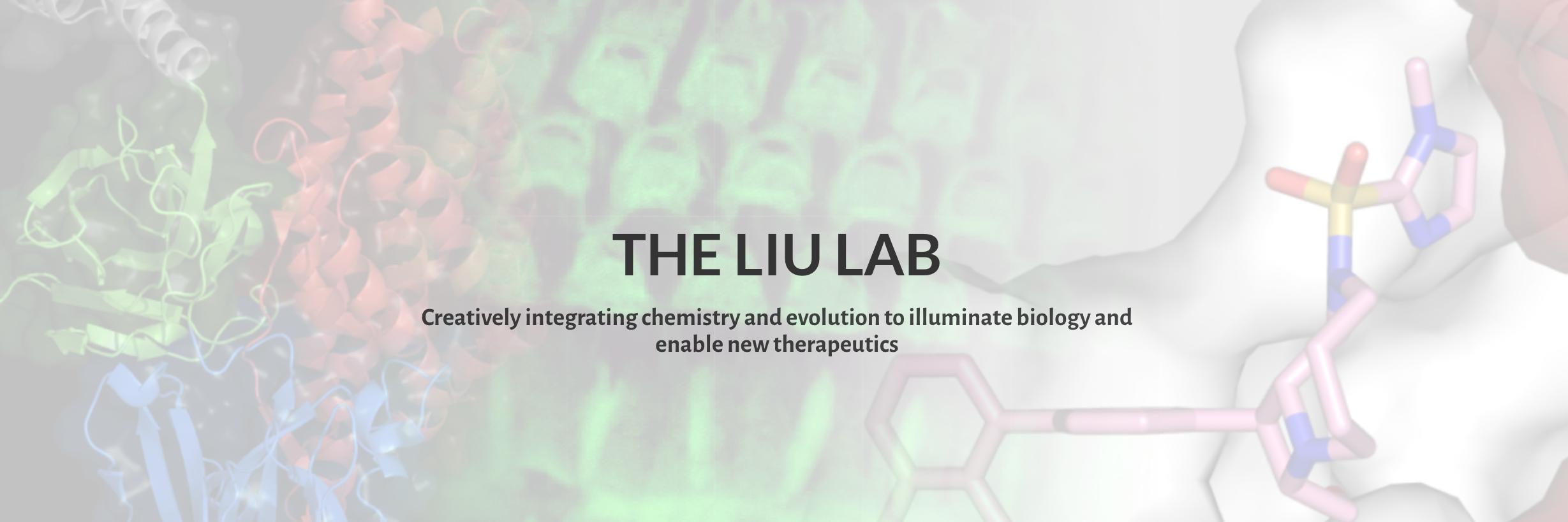 liugroup banner