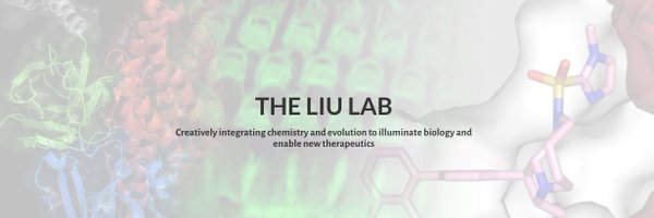 liugroup Profile Banner