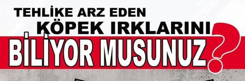 Başıboşluk Bitecek banner