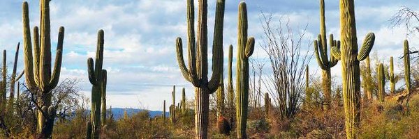 LuckyMcCusker Profile Banner