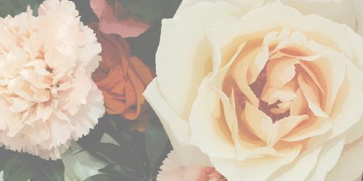 fardinaulia's profile banner image