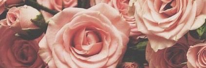 Paola banner
