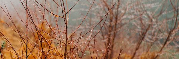 PoirotTr's profile banner image