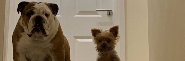 Charlie and Pinki Profile Banner