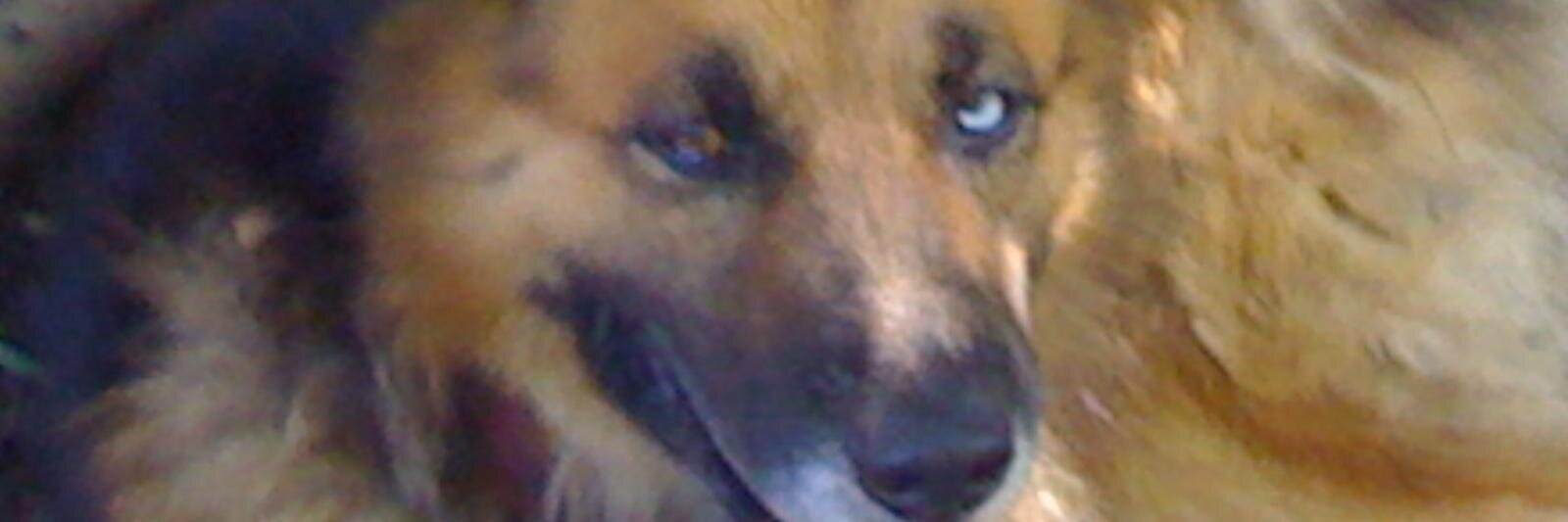 rmorillo685's profile banner image