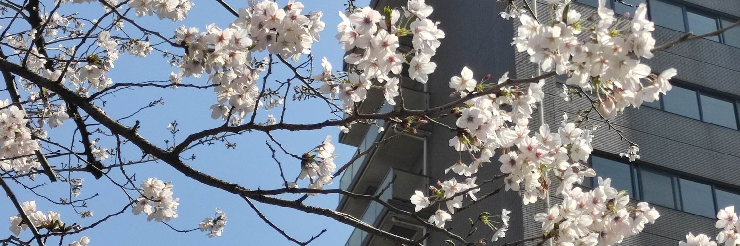 遼 banner