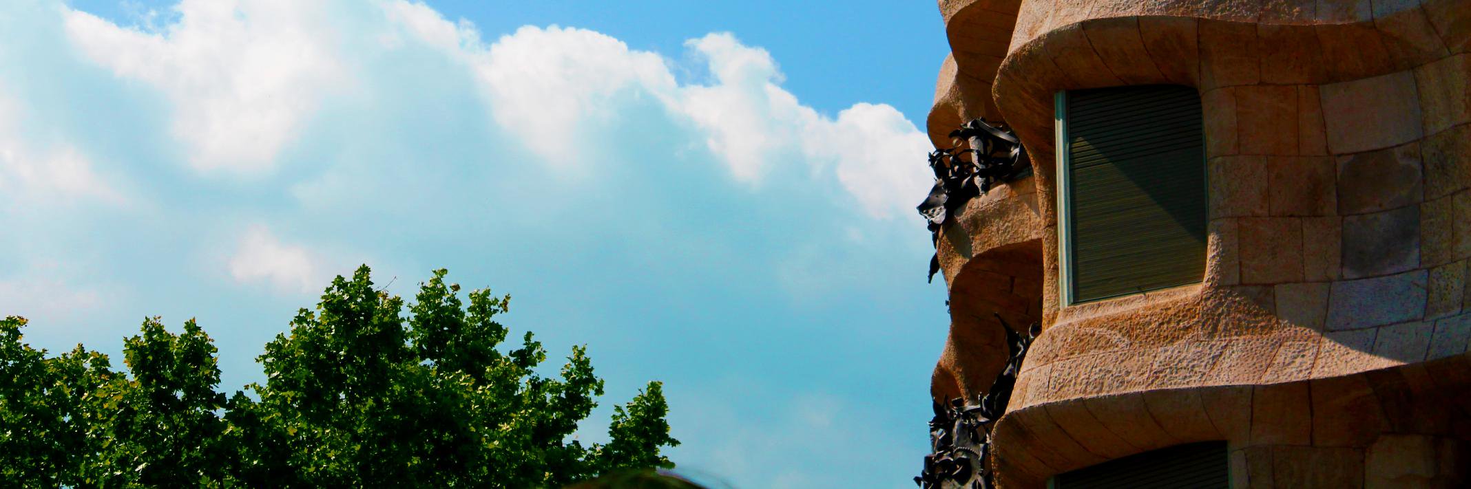mndeveci's profile banner image