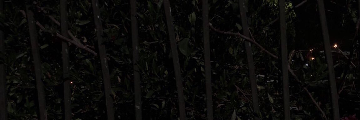 ssa__36's profile banner image