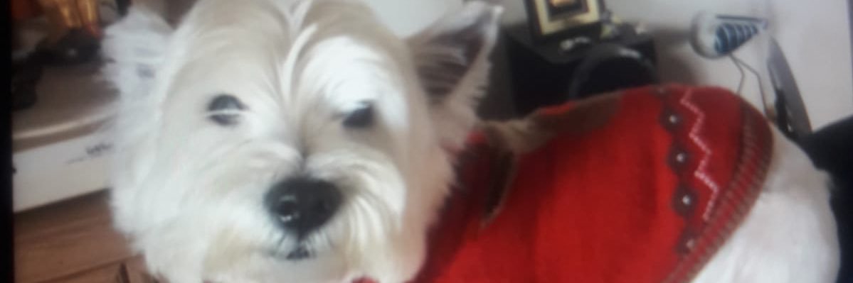 davearc07613733's profile banner image