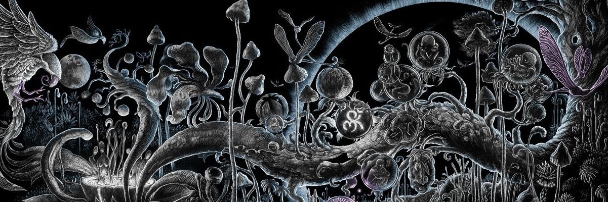 neverlandfw's profile banner image