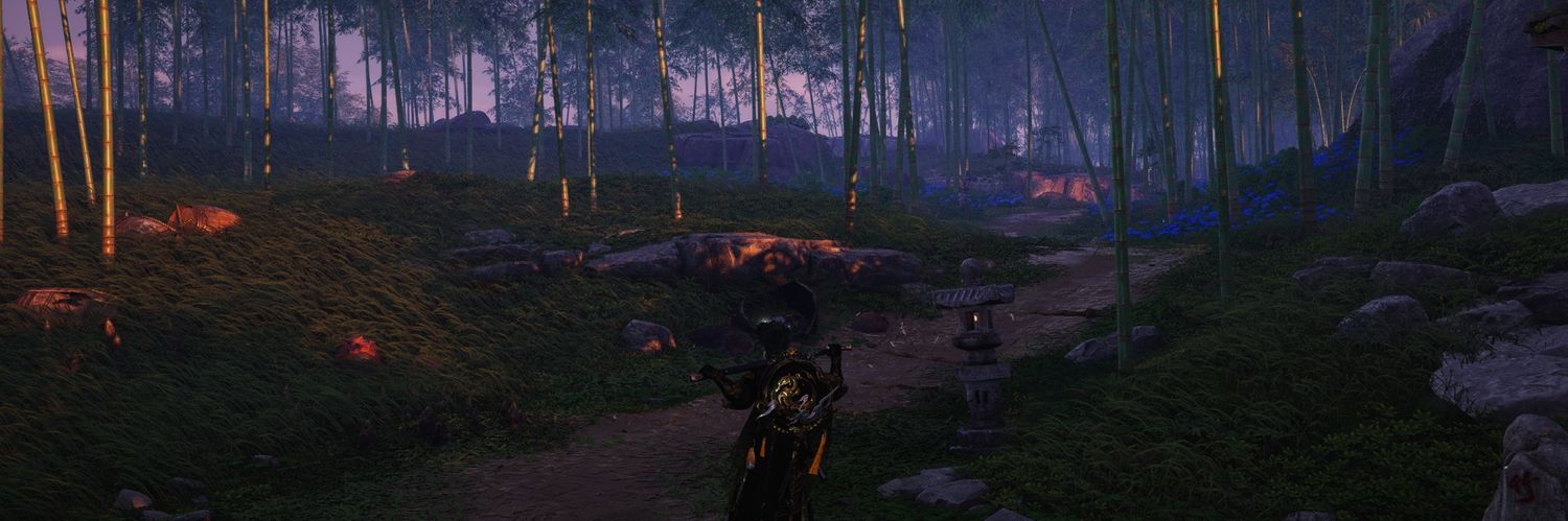 halcyoneus_x's profile banner image