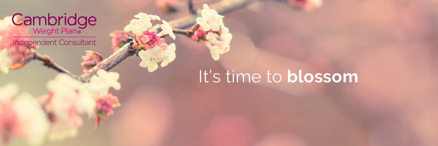 1:1 Diet Consultant Alison Griffiths banner