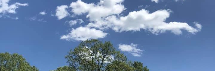 KathyKesner's profile banner image