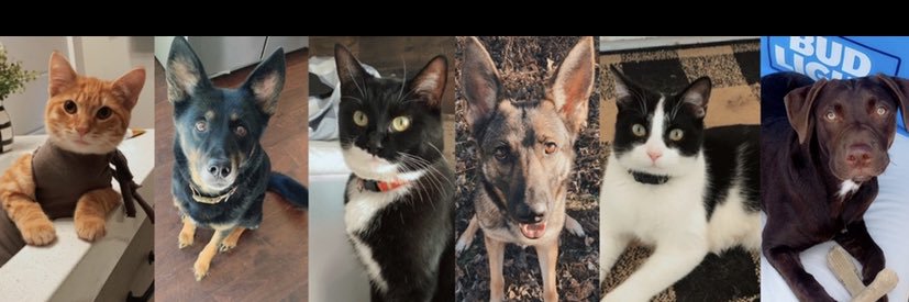 breeanders's profile banner image