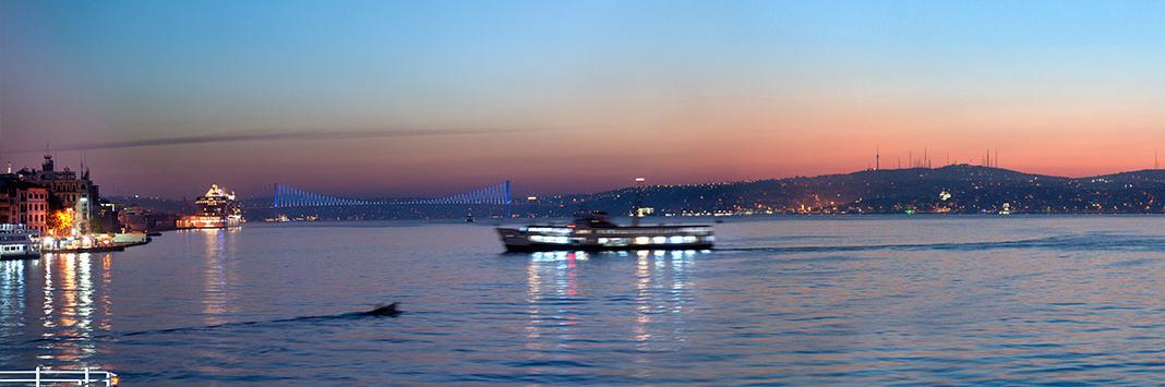 srkn_dmr's profile banner image