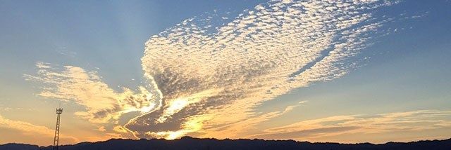 2980Mtfk's profile banner image