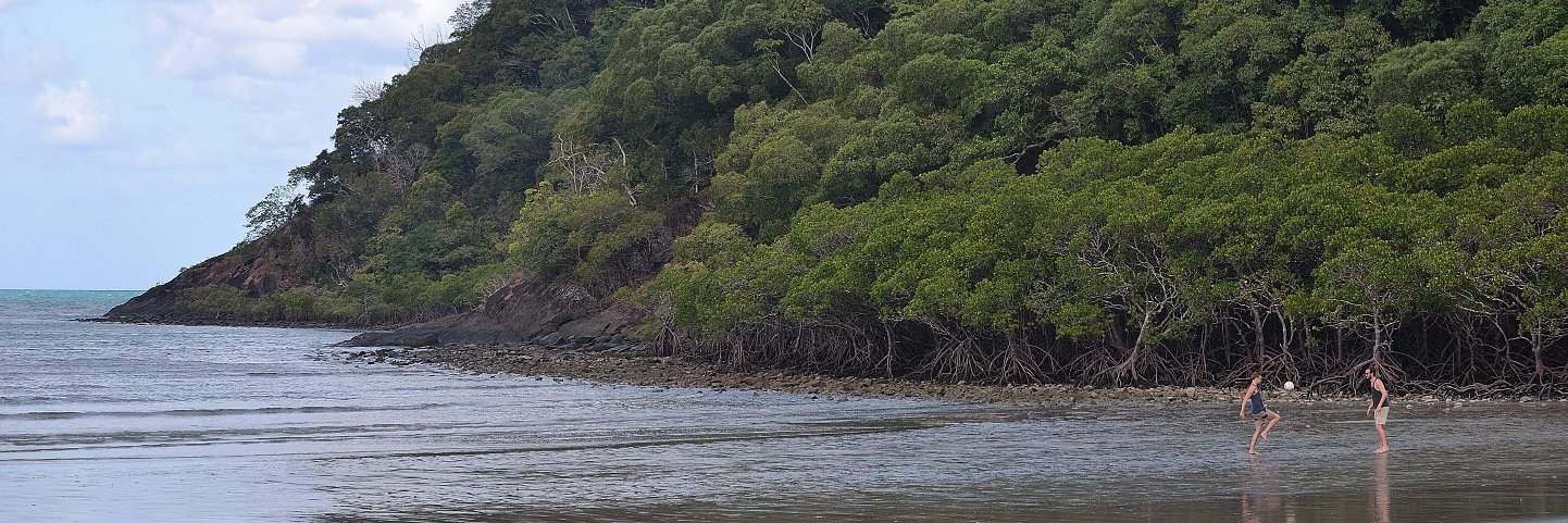Felipe Fernández banner