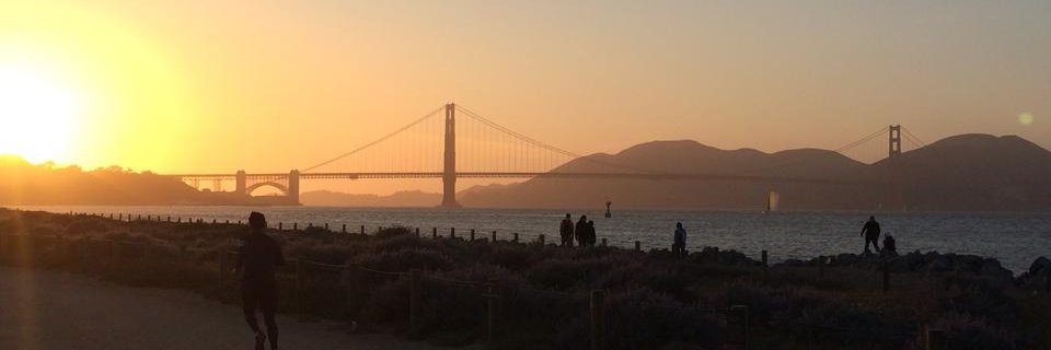 yonedia's profile banner image