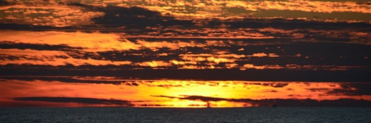 FAMILY DOCTOR banner