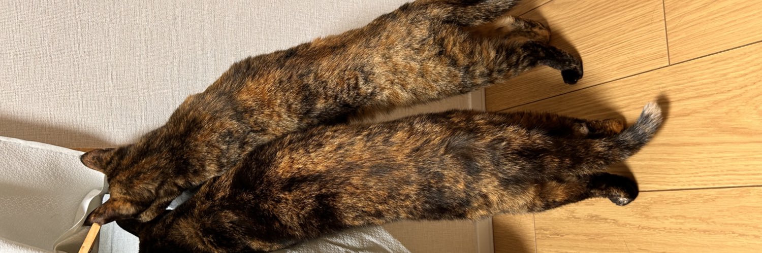 猫蟲's banner