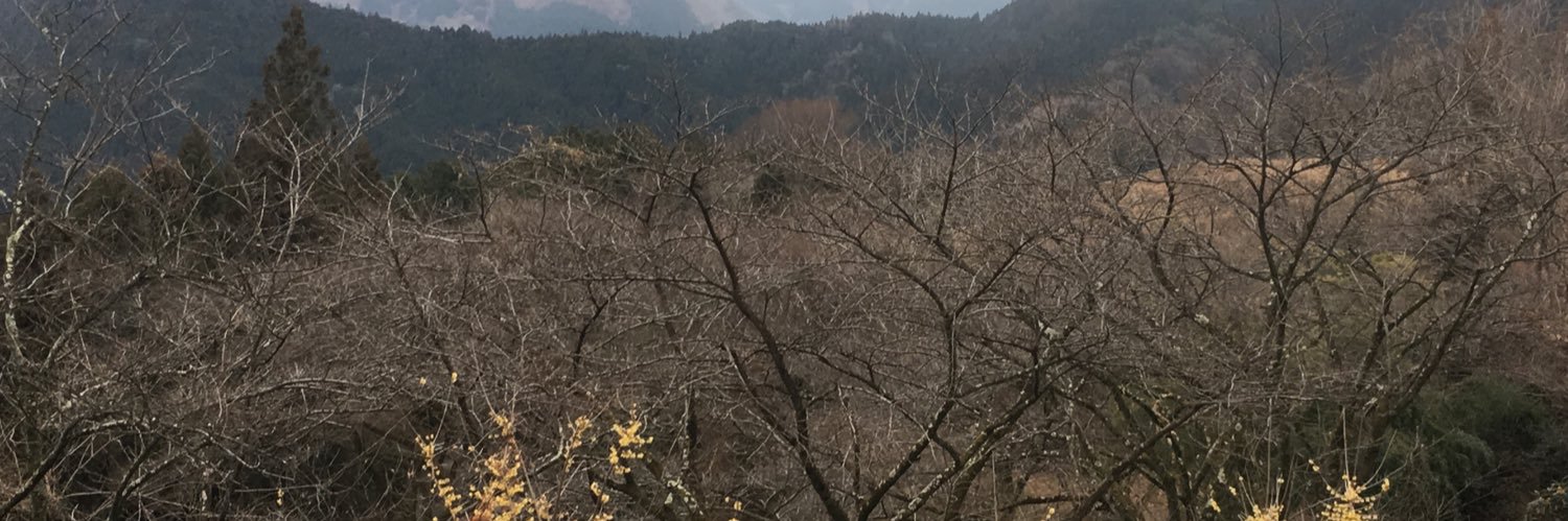 loriashikawa's profile banner image