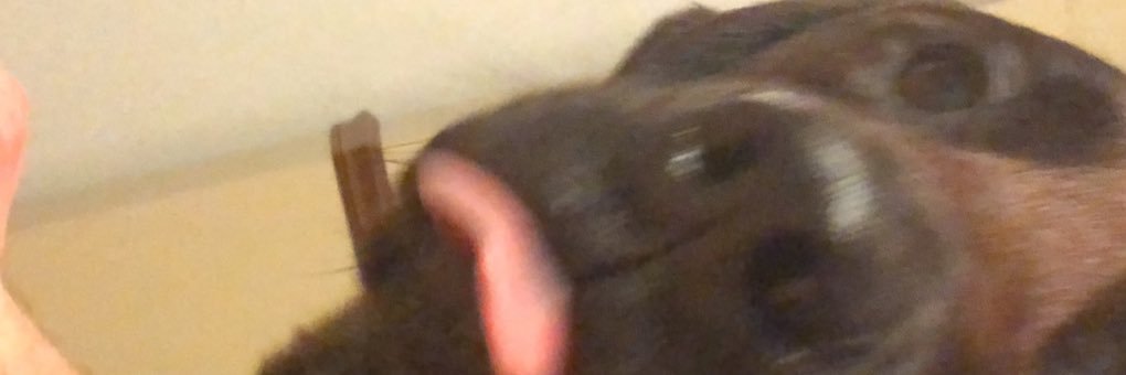 TheWimmerrr's profile banner image