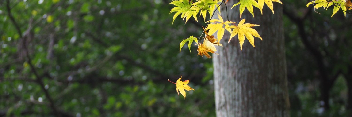 oppeken's profile banner image