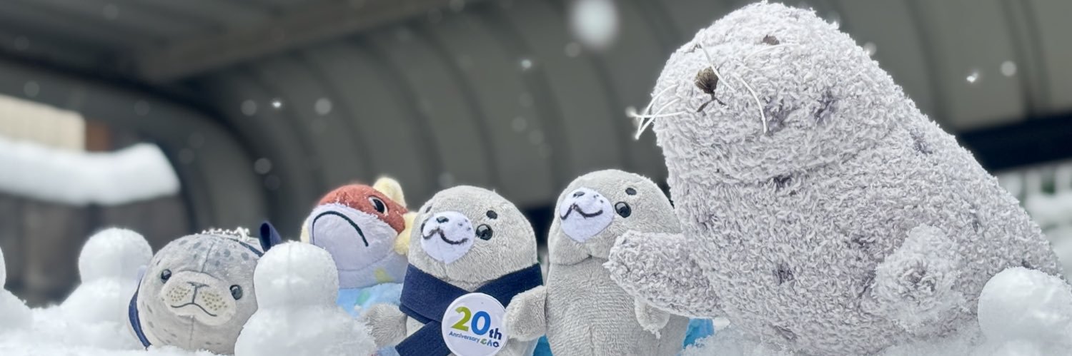 あざさん🦭あざらクリエイター banner