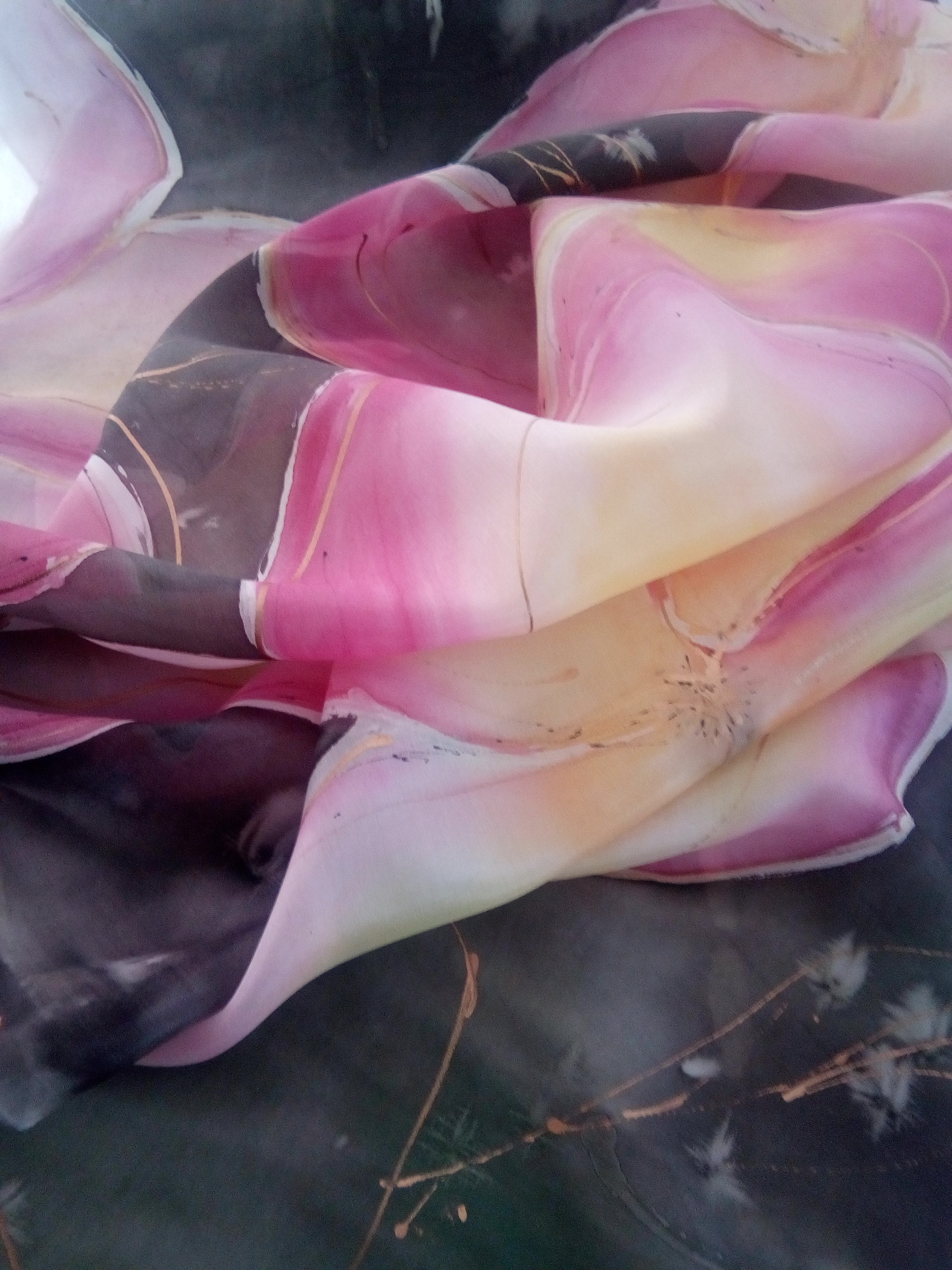 Anca Raileanu banner