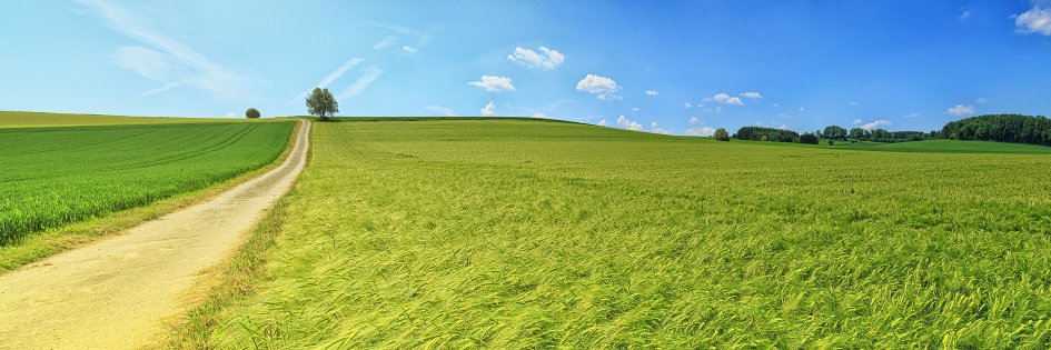 worldmeigen's profile banner image